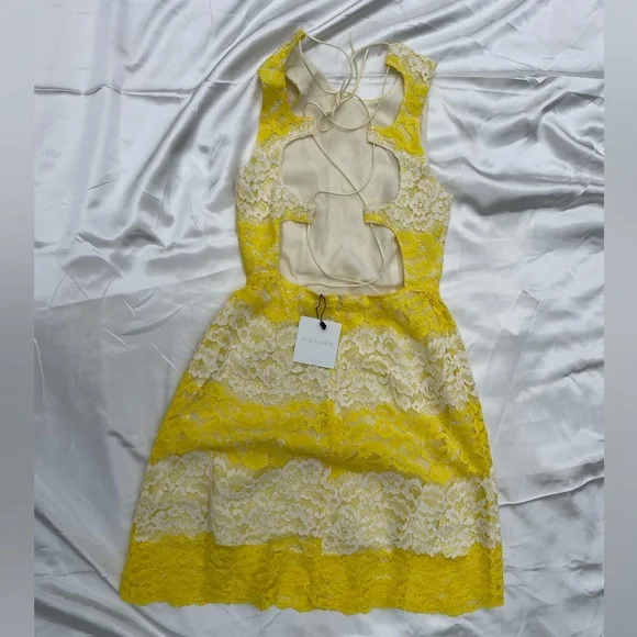 Foxiedox Dresses | Nwt Xs Anthropologie Foxiedox Yellow And White Lace Dress With Open Back | Color: White/Yellow | Size: Xs | Rrags2rriches's Closet Foxiedox Dresses | Nwt Xs Anthropologie Foxiedox Yellow And White Lace Dress With Open Back | Color: White/Yellow | Size: Xs | Rrags2rriches's Closet